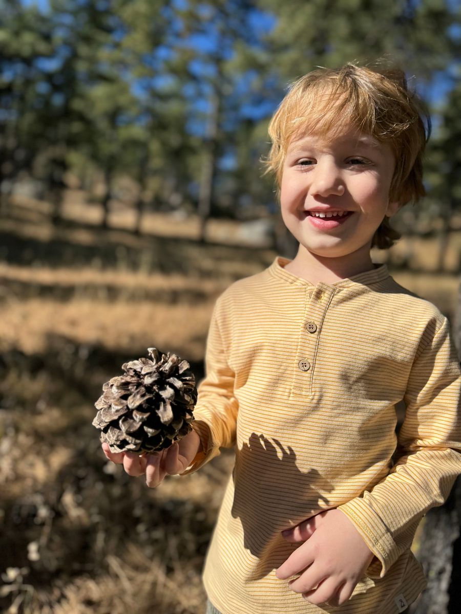 Adams Henley Gold Stripe - Cardeva