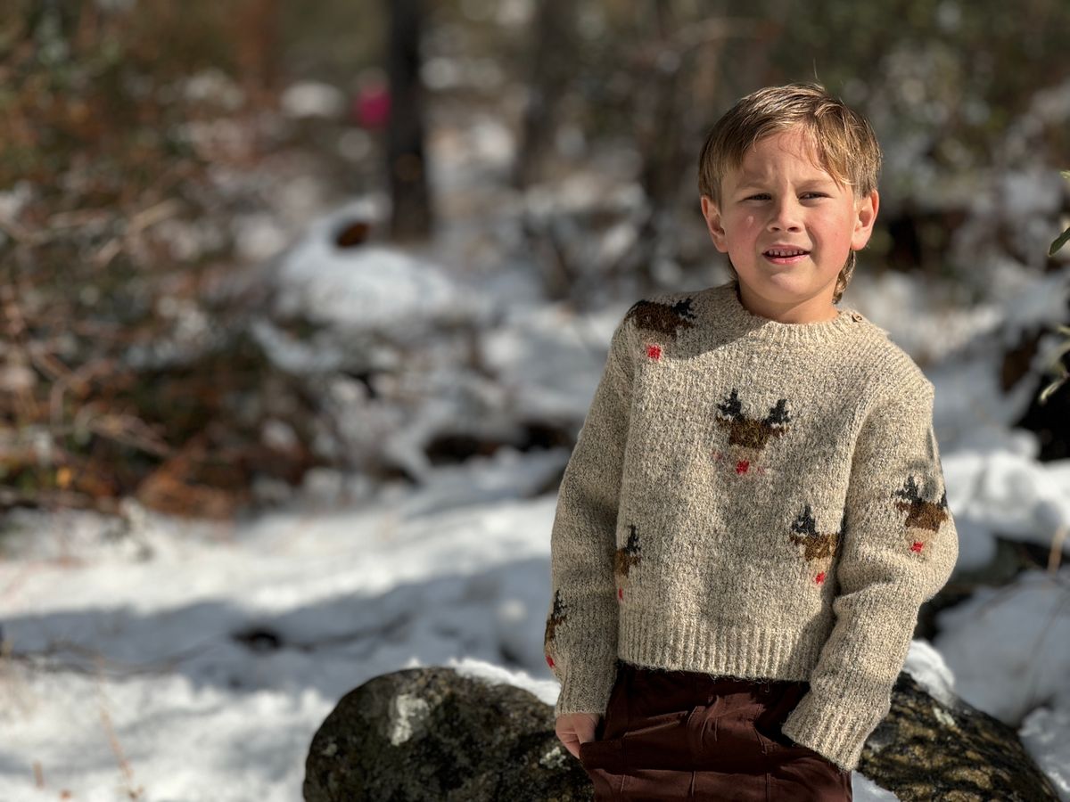 Rudy Reindeer Sweater - Cardeva