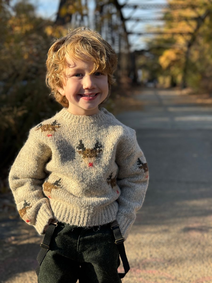 Rudy Reindeer Sweater - Cardeva